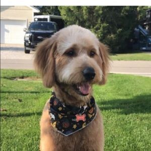 Meet your Posher, Justine